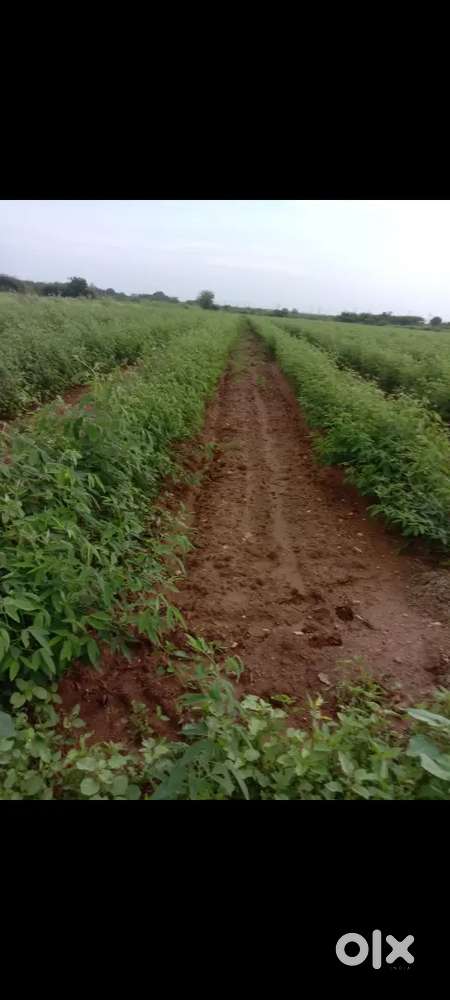 Land for sale 1.616 acres