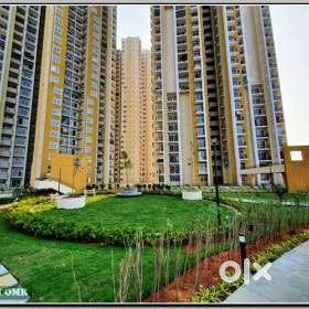 Looking for a female flat