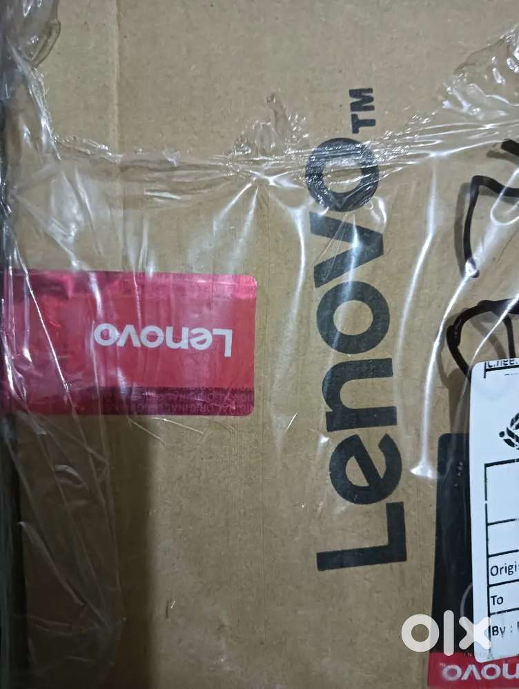 Office assistant cum co ordinator