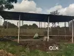 Shed for kori