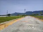 Low budget