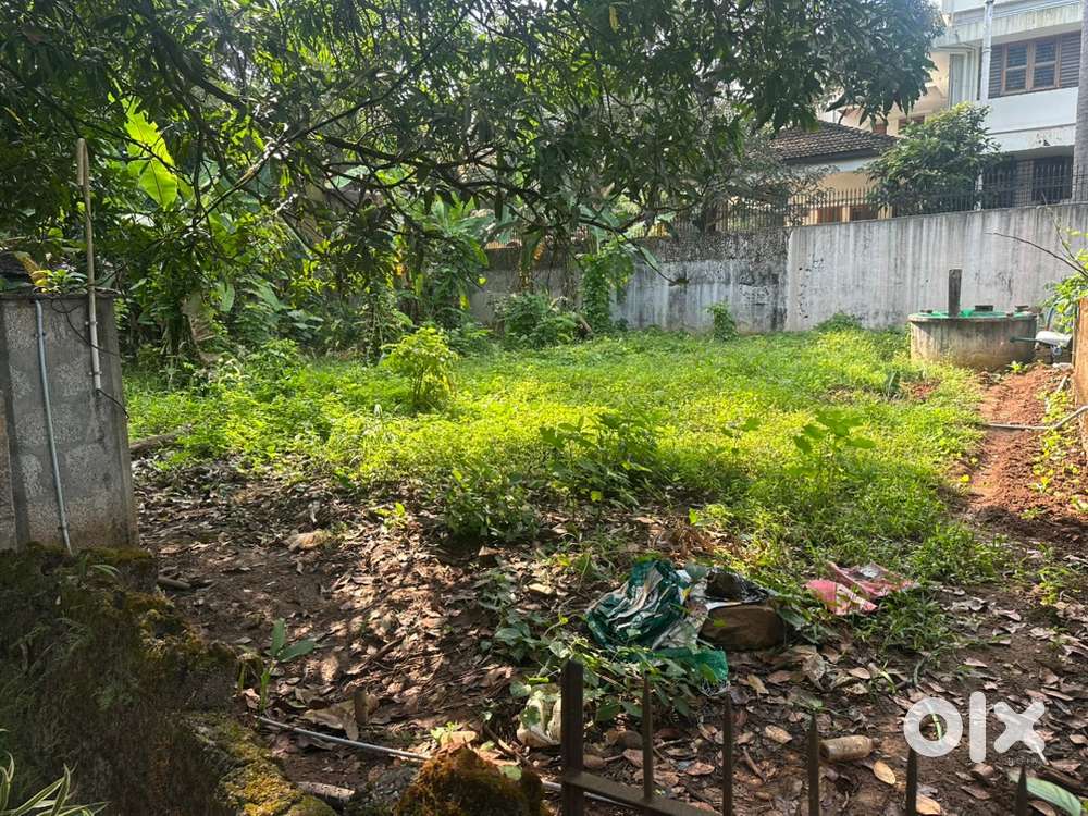 Chembukavu 10c Residential land for sale
