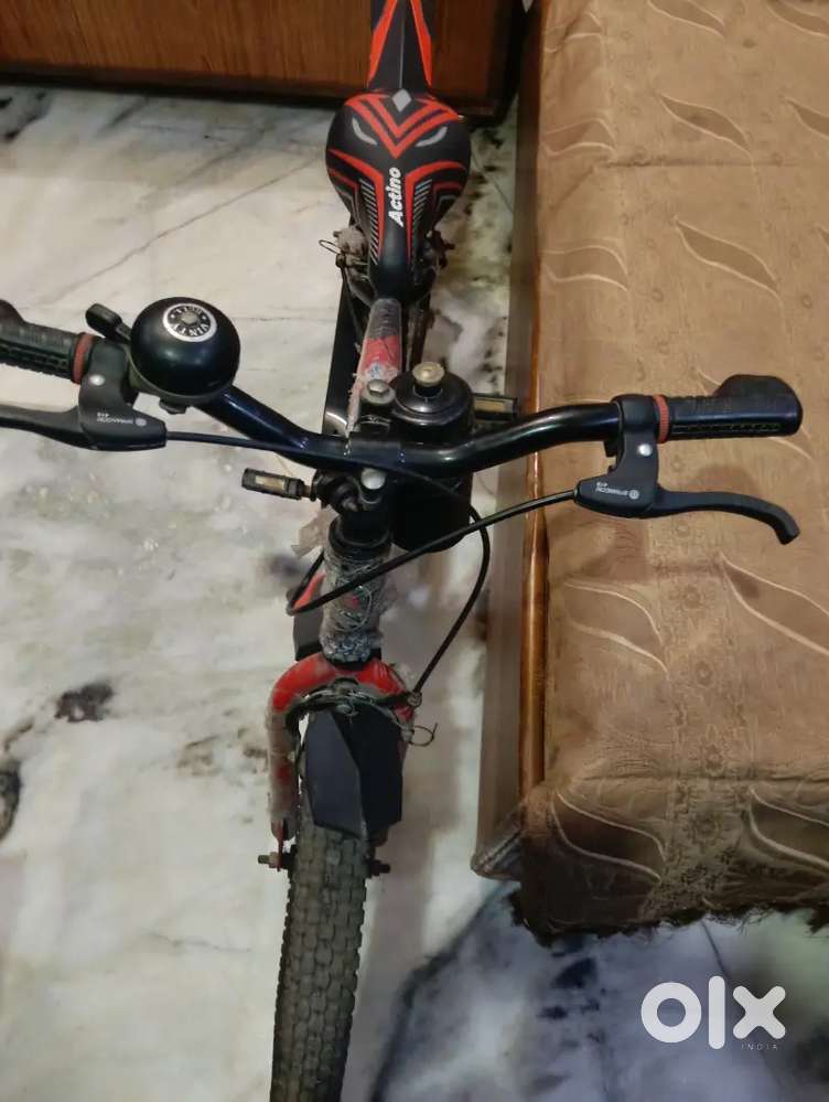 Actino Crista Bycycle( Only Genuine Buyers)