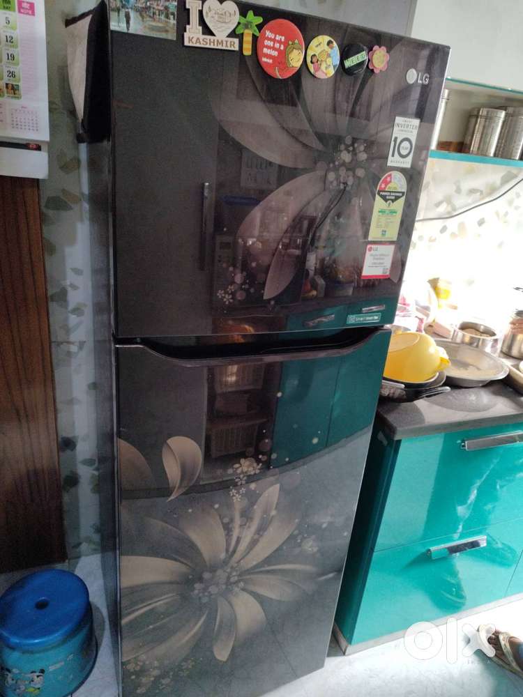 Samsung Fridge- Smart Inverter 255 litres