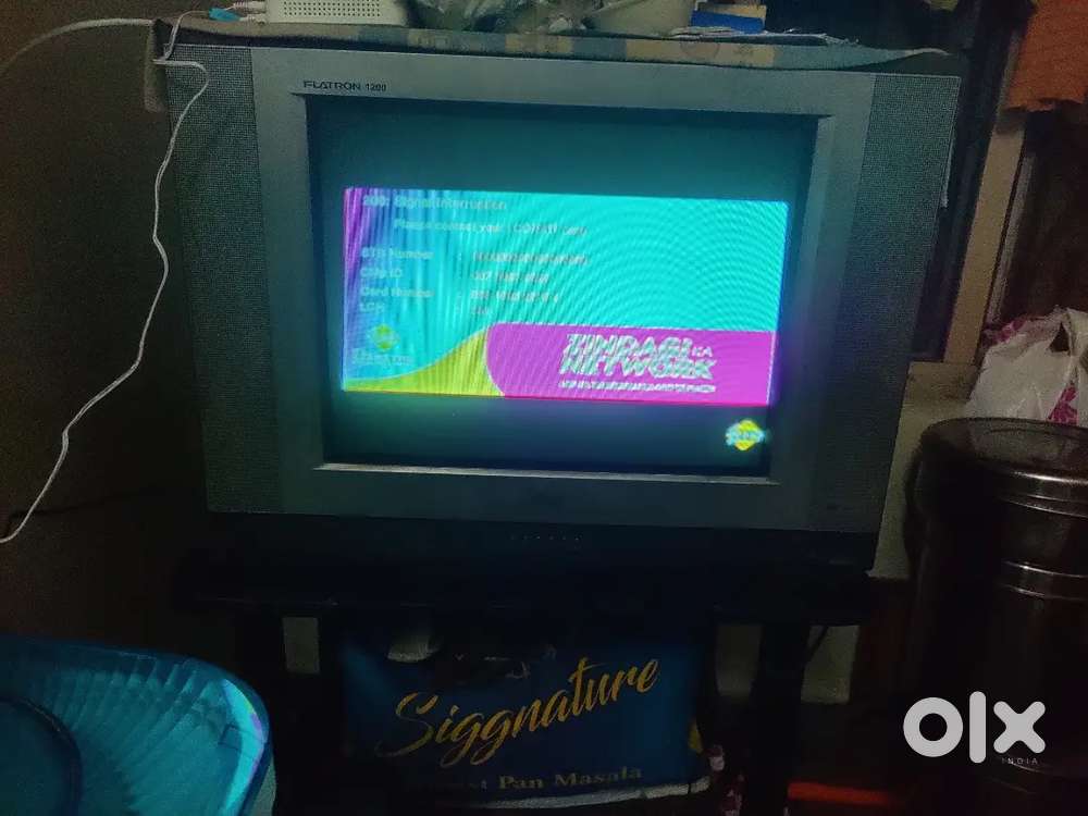 TV portable