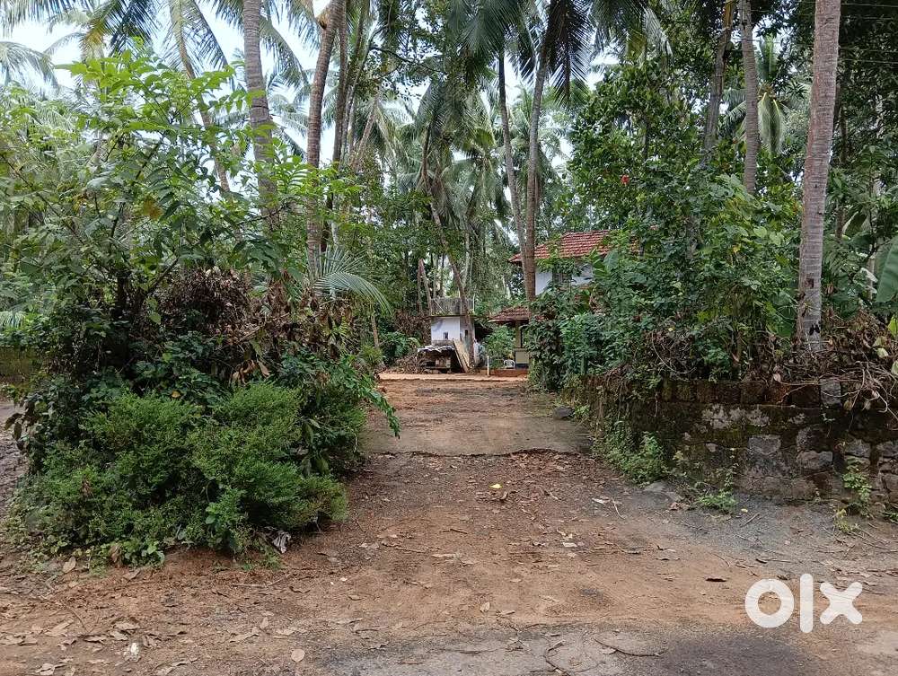 20.5 സെൻ്റ് സ്ഥലം