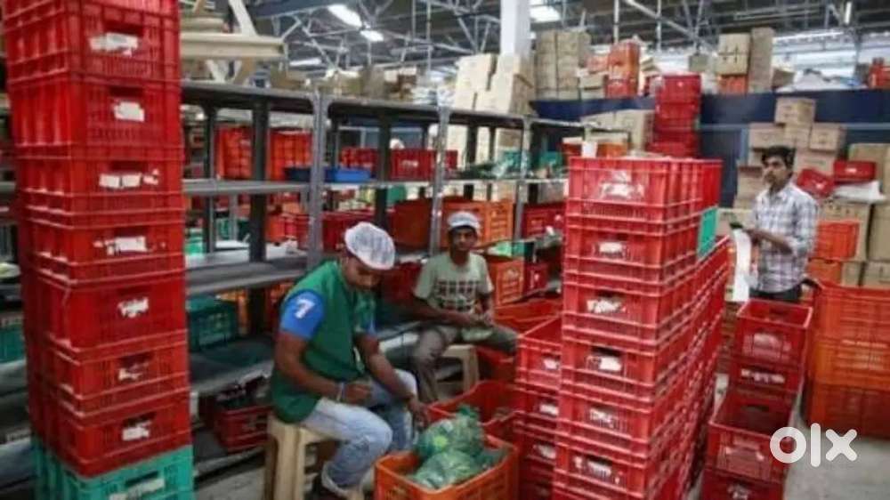 Wanted m/f  packing staffs inside warehouse [ night shift available