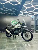 CLEAN SINGLE OWNERSHIP HIMALAYAN