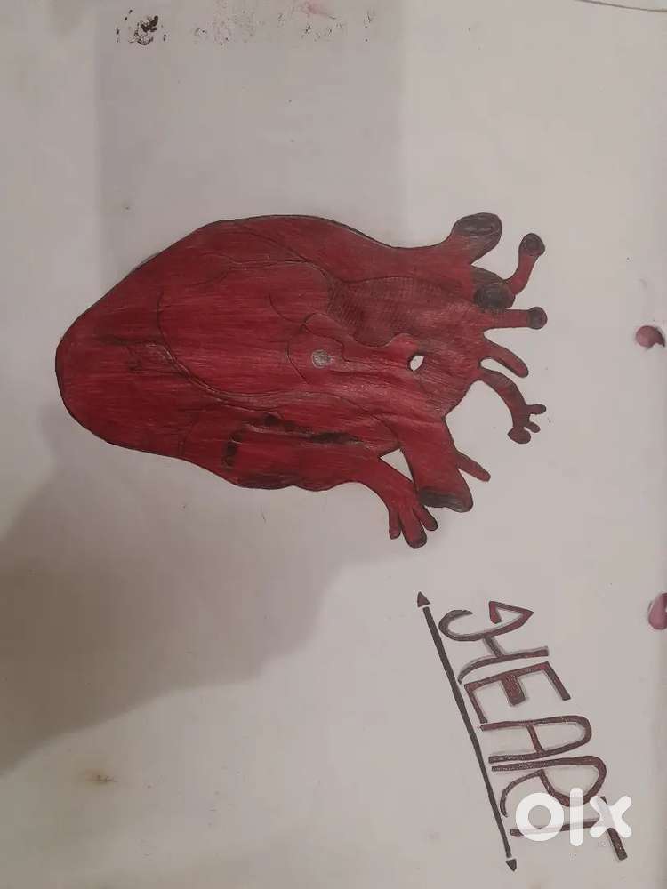 Human heart art