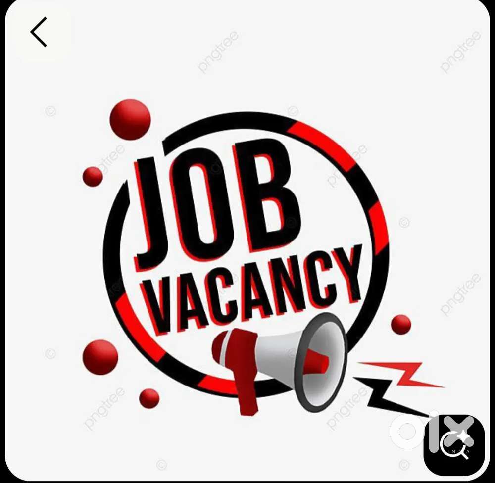 NEW COMPANY OPENING FOR JOB VACANCY AVAILABLE