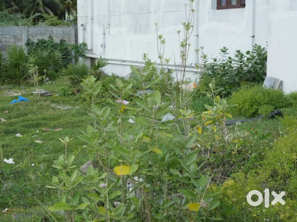 Prime location and immediate construction plot for sale@kannivakkam