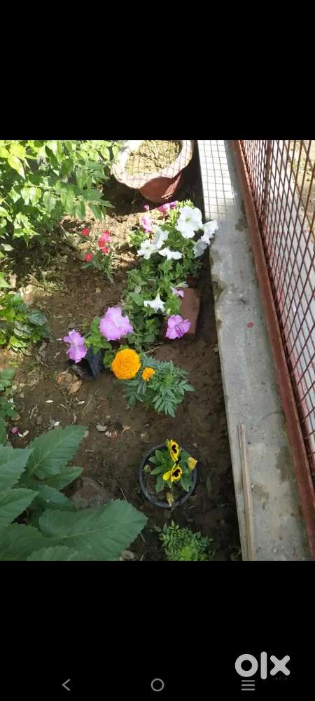 Sector-5 gida Gorakhpur