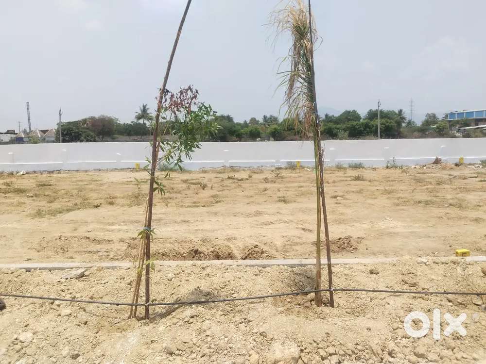 Open plot near airport circle, Tirupati