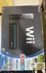 Wii Console