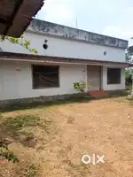 Travancore agro products