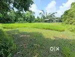 K MIYADI LAND FOR SALE