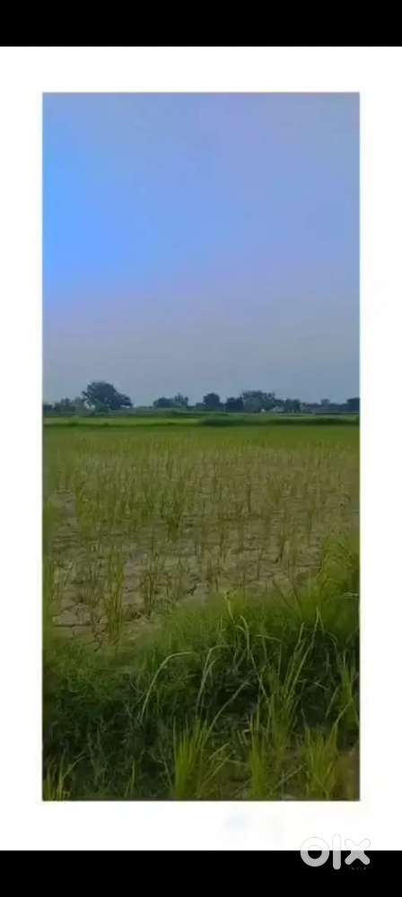 2.5 biga khet on highway