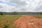 Agricultural land for Sale near Harohalli