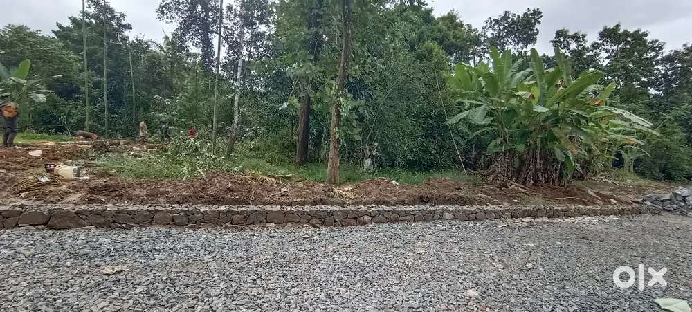 അങ്കമാലി ടൗണിൽ ST REETA CHURCH NEAR BY 5,6,8,10,സെൻ് പ്ലോട്ടുകൾ