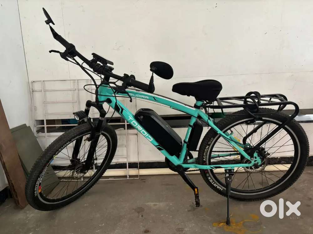 Toroid rudra electric cycle