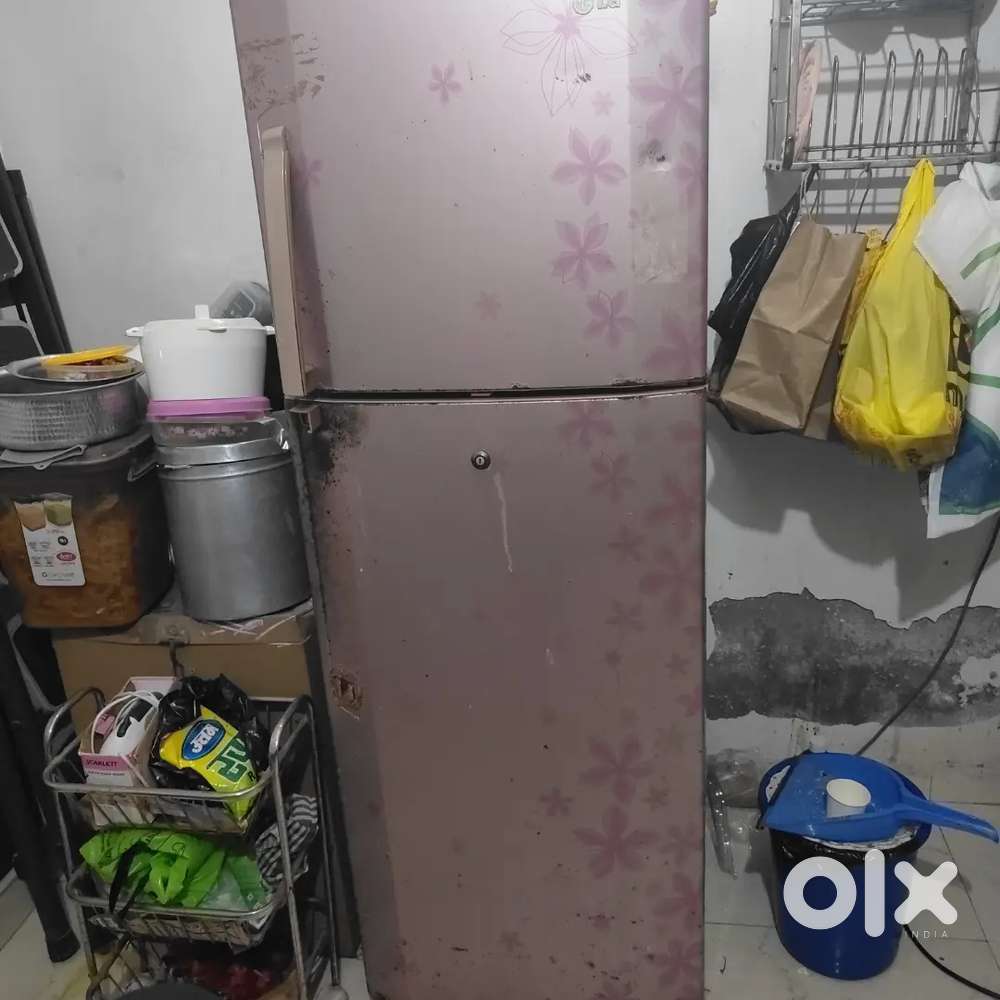 LG  fridge