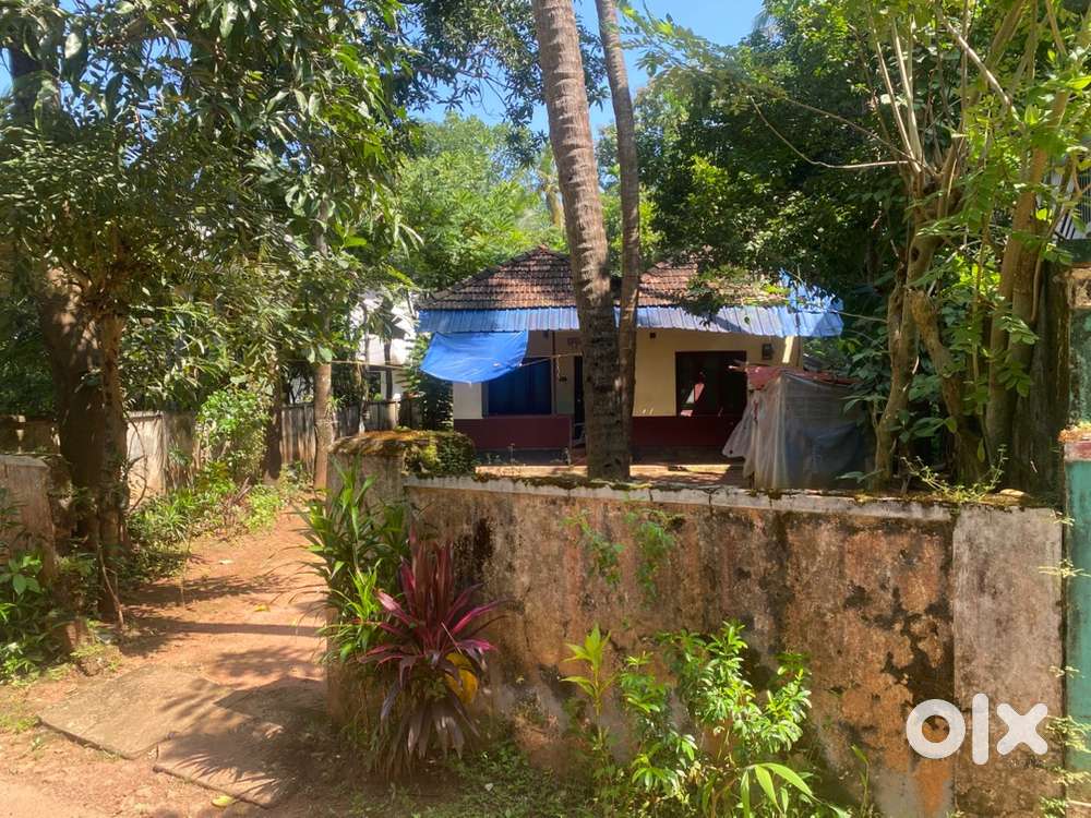 Plot with House for Sale – 17 Cent  ₹3 Lakh per Cent