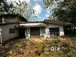2.77 acre rubber plantation land with 10000 sq ft poultry farm