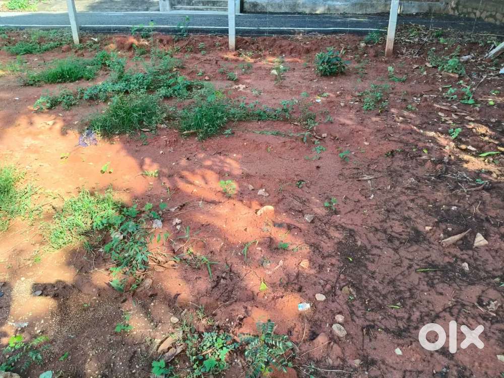 5 Cent Perumal Nagar Nagercoil Kanyakumari Dist