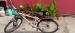 Urban Terrain Galaxy Pro High Performance Mountain Cycle.