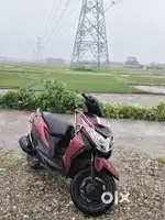 Dio dlx top model