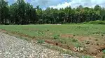 Mahtura Land for sale