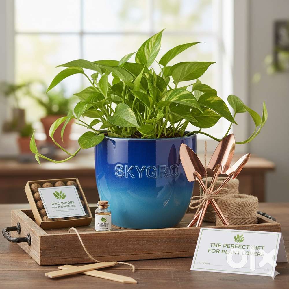 Sales and marketing (agri products)