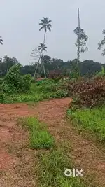 Good 20 cent house plot in thodupuzha town