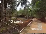 Urgent sale 10 cents near NIT College best for house