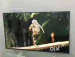 Today Offer 32 SMART ANDROID LED TV 8GB ROM 1GB RAM GUARANTEE 1YEAR