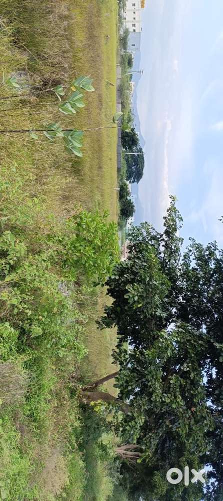 THUKIVAKAM WHITEFIELD TUDA APPROVAL LAYOUT GATED COMMUNITY EAST