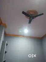 1bhk for rent