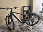 Electric cycle