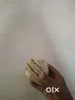cricket used Balls (1pc)