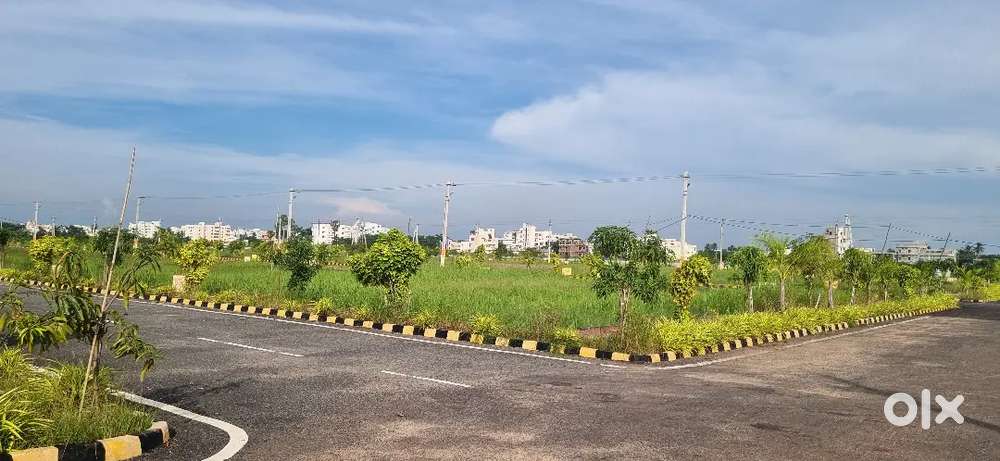 200 sq yards  Open plot for sale in Guntur