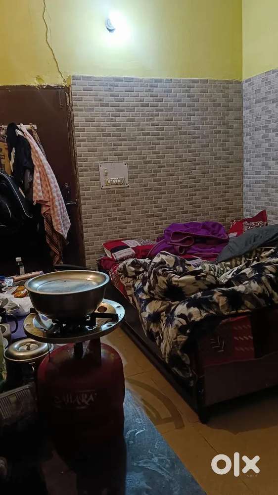 Need A girl Roommate