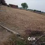 Laal pili  mitti