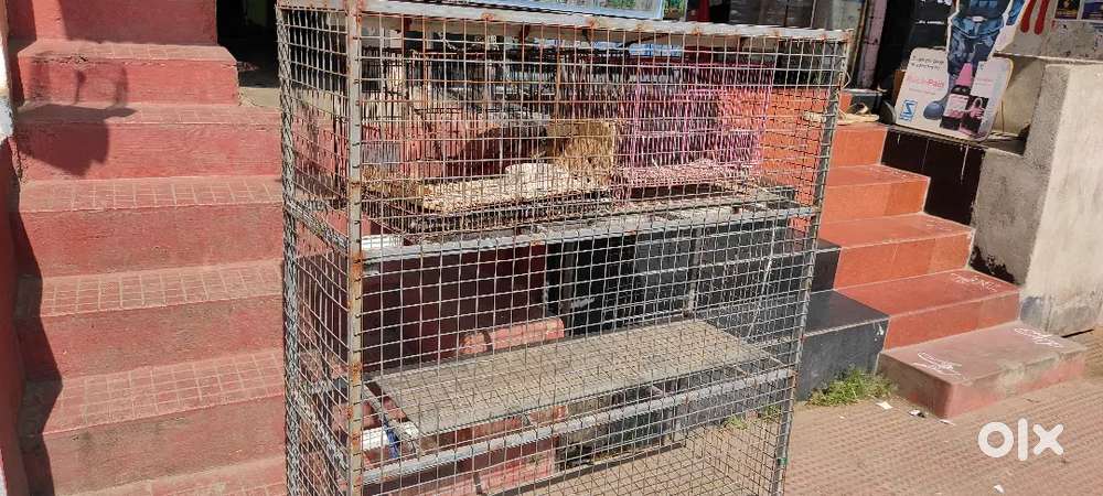 Garden Stand for sale