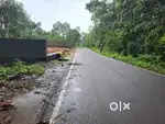 COMMERCIAL PLOT MULANTHURUTHY - VETTICKAL ROAD