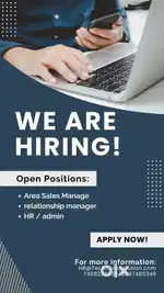 Sales / marketing executive