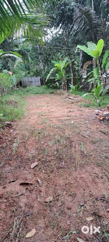 14 cent for sale offer price