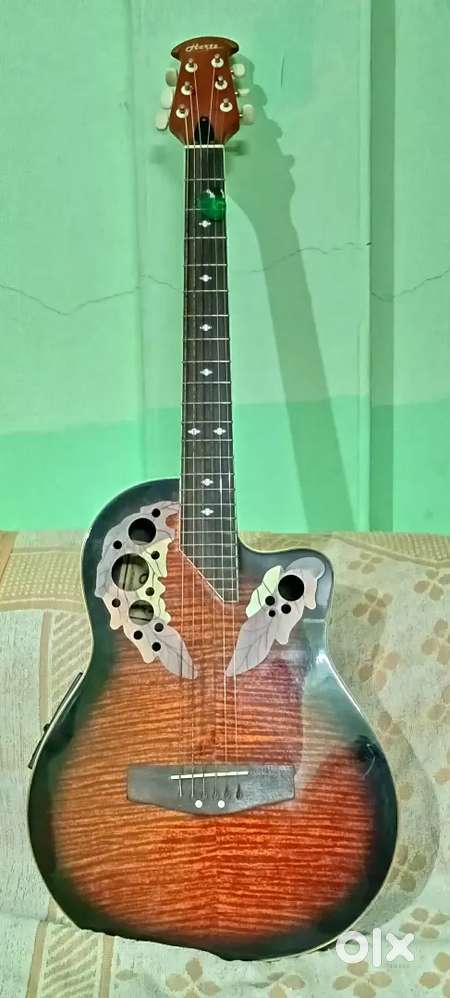 Guitar  Six months old.
