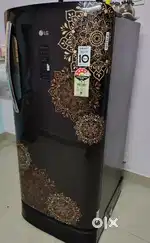 LG 204 L 4 Star Direct-Cool Inverter Single Door Refrigerator 