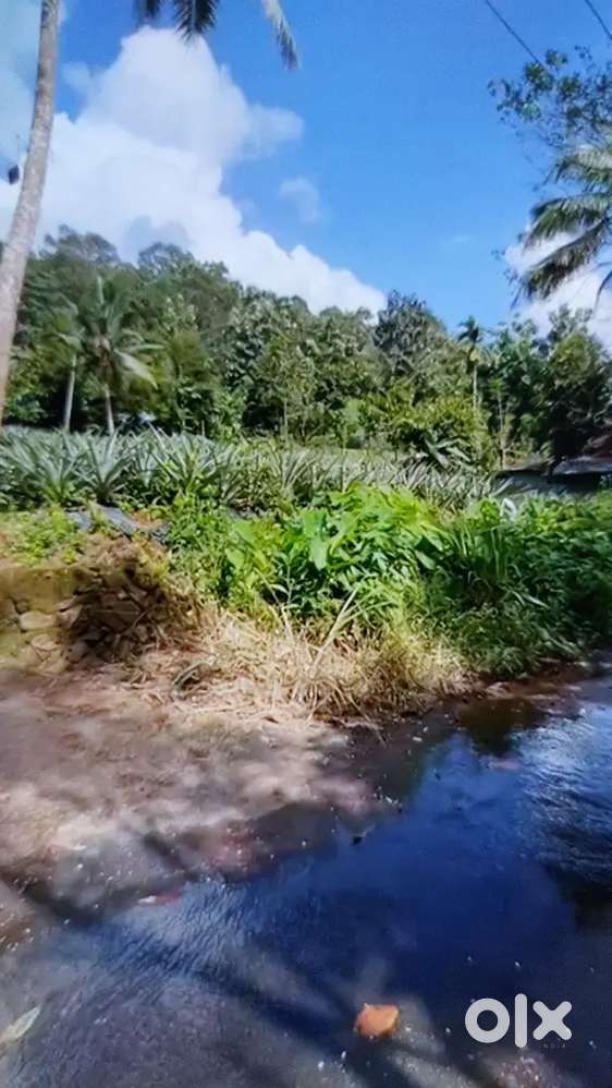 20 cent land for sale