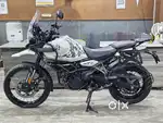Himalayan 450 2024 Registered (brand new condition)